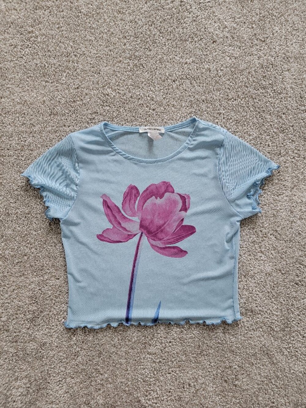 Vintage Y2K Pastel Blue Floral Baby Tee Water Color Flower Crop Top Lettuce Trim